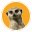 Drusillas Icon