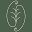 Villa Floriani Icon