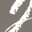 Island Importer Icon