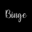 BINGE NETWORKS Icon