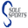 Solesportsrunning Icon