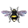 Beeyoutiful.com Icon