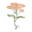 From Nature With Love Icon