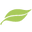 Plant Therapy Icon