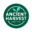 Ancient Harvest Icon