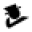 Suitusa.com Icon