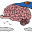 TruBrain Icon