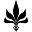 Tall T Productions Icon