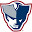 Somerset Patriots Icon