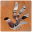 Empowerment Foundation Icon