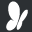 MSN Icon