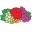 Fruit of the Loom Icon