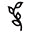 White Elm Icon