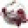 The Pit Bull Princess Icon