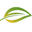 Naturally Botanicals Icon
