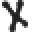 Xoskin Icon