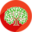 Virtualtaxrefund Icon
