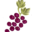 GiftedGrape Icon