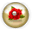 Dawn Rose Pearls Icon