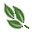 Vita Living Icon