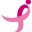 Susan G. Komen Icon