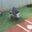 Professional Independent Minor League Baseball Tryouts Icon