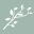 Whiteleafcompany Icon