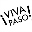 Vivapaso Icon