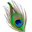 Minktresses Icon