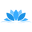 Lotus Leggings Icon