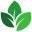 Koko Kratom Icon