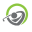 Swingemagaingolf Icon