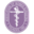 Womensurgeons Icon