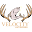 Velocityoutdoors Icon