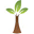Plants Ship Icon