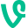 Vine Icon