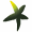 Deauvillegreenawards Icon
