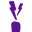 The Purple Carrot Icon