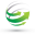 Professional Web Solutions Icon