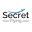 Secret Flying Icon