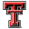 Texas Tech Red Raiders Icon