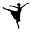 Syracusecityballet Icon