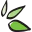 Herbalmagic Icon