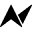Northern Spirit Webshop Icon