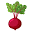 Eat Your Beets Icon