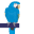 Vxicorp Icon