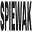 Spiewak Icon