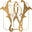 Walker Boutique Icon