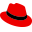 Ansible Icon