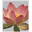 Clientelebeauty Icon